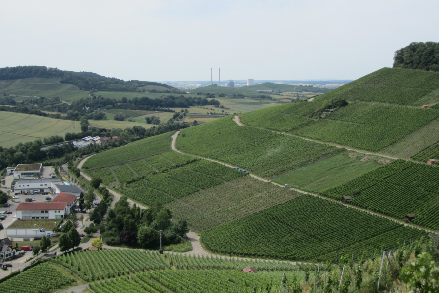 Weinberge bei Heilbronn